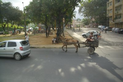 Horse cart